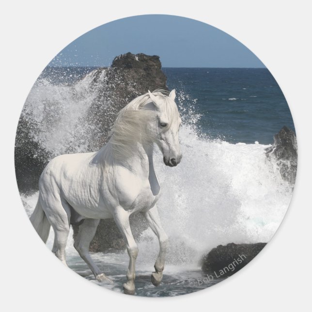 Fantasy Horses: Southern Seas Classic Round Sticker (Front)