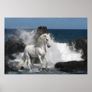 Fantasy Horses: Southern Seas Poster
