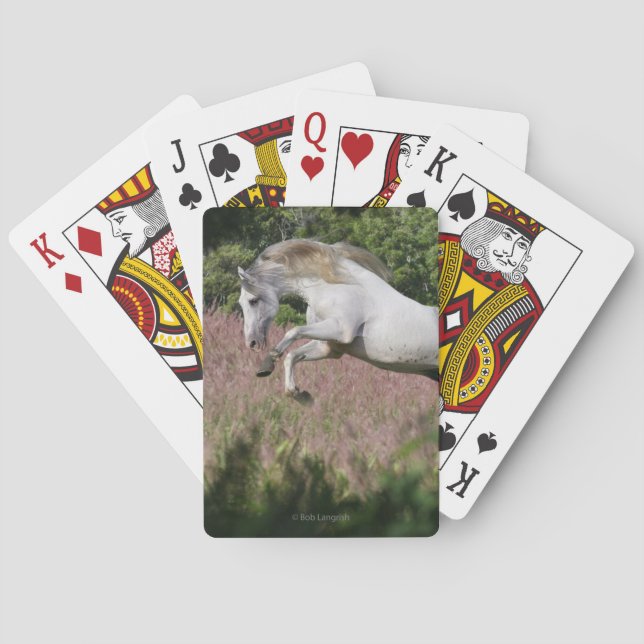 Fantasy Horses: Spring Gallop Playing Cards (Back)