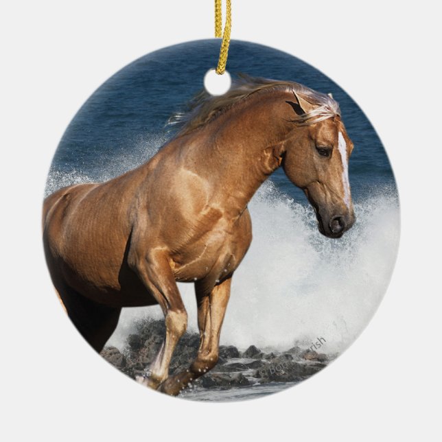 Fantasy Horses: Summer Splash Ceramic Tree Decoration (Front)