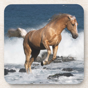 Fantasy Horses: Summer Splash Coaster