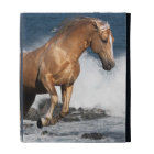 Fantasy Horses: Summer Splash