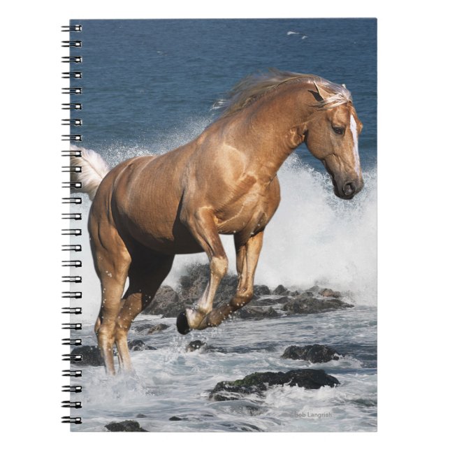 Fantasy Horses: Summer Splash Spiral Notebook (Front)