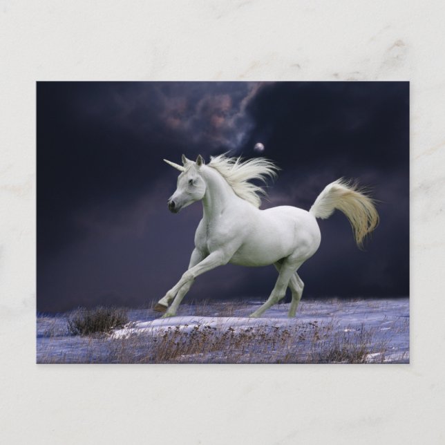 Fantasy Horses: Unicorn Postcard (Front)