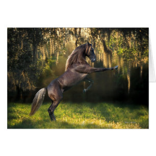 Fantasy Horses: Warrior Prince