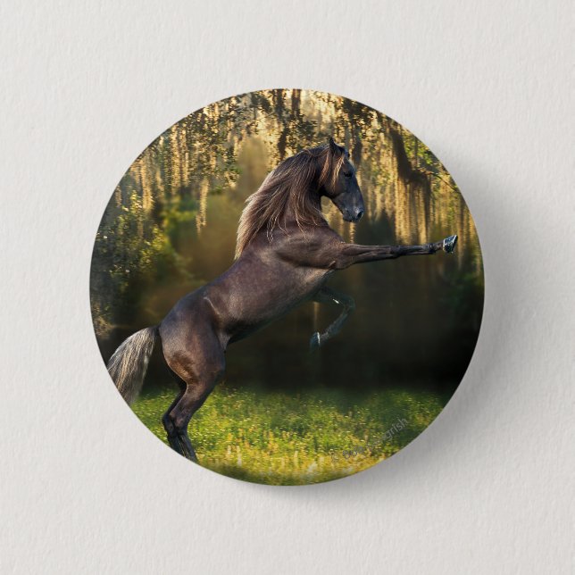 Fantasy Horses: Warrior Prince 6 Cm Round Badge (Front)