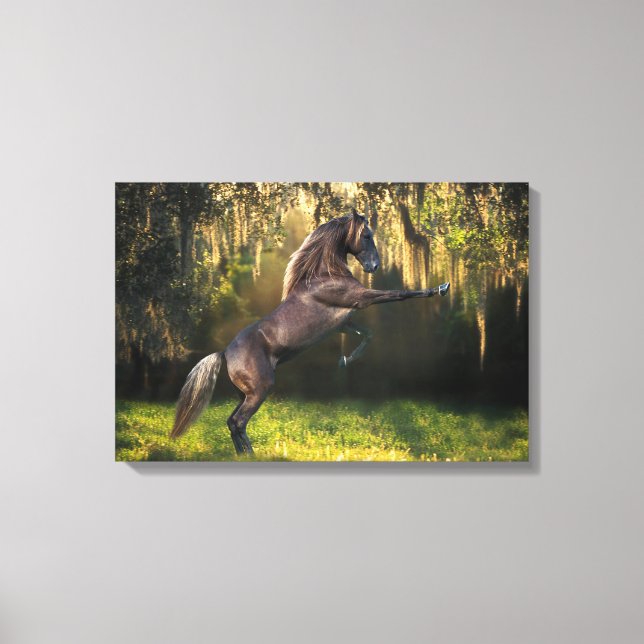 Fantasy Horses: Warrior Prince Canvas Print (Front)