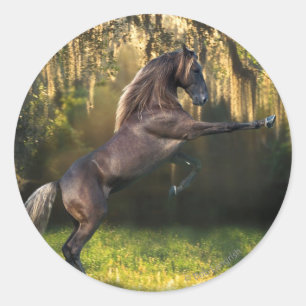 Fantasy Horses: Warrior Prince Classic Round Sticker