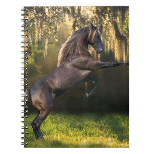 Fantasy Horses: Warrior Prince Notebook
