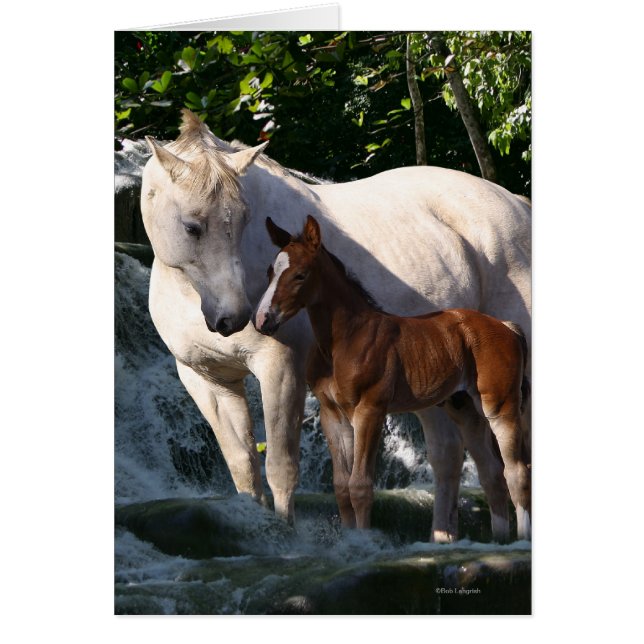 Fantasy Horses: Waterfall (Front)