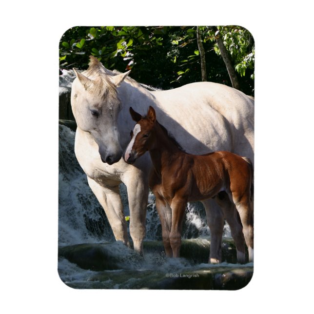 Fantasy Horses: Waterfall Magnet (Vertical)
