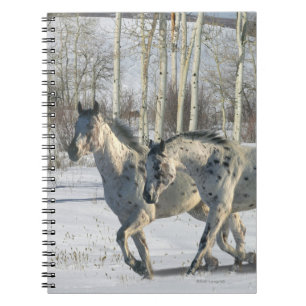 Fantasy Horses: Winter Wonderland Spiral Notebook