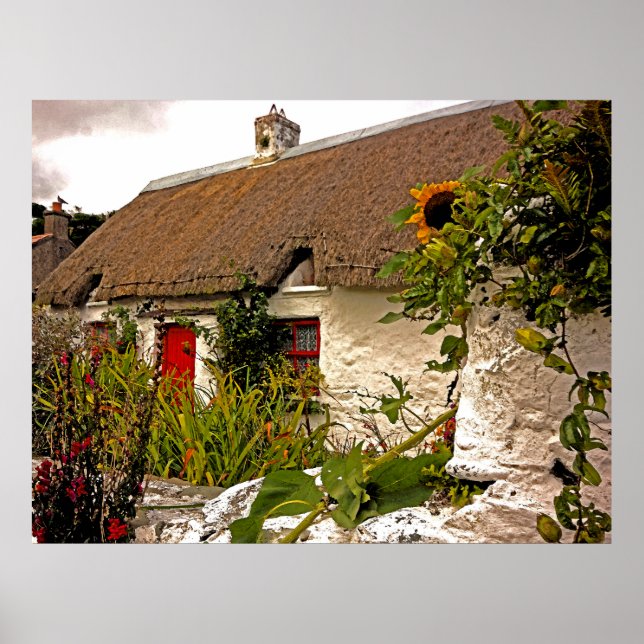 Fantasy Irish cottage Poster (Front)