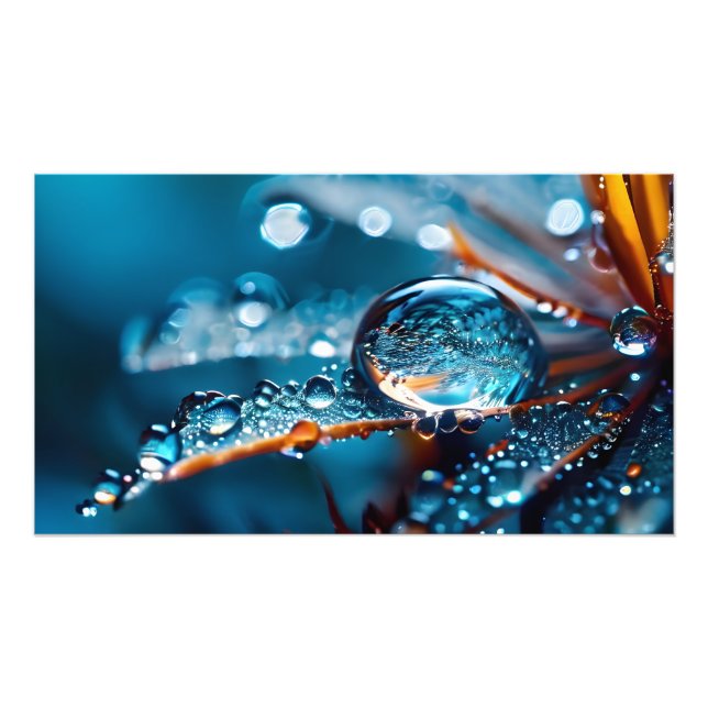 Fantasy macro water drops photo print (Front)
