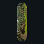 Fantasy T-Rex Tyrannosaurus Dragon battle  Skateboard<br><div class="desc">This design may be personalised by choosing the customise option to add text or make other changes. If this product has the option to transfer the design to another item, please make sure to adjust the design to fit if needed. Contact me at colorflowcreations@gmail.com if you wish to have this...</div>