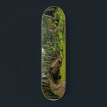 Fantasy T-Rex Tyrannosaurus Dragon battle  Skateboard<br><div class="desc">This design may be personalised by choosing the customise option to add text or make other changes. If this product has the option to transfer the design to another item, please make sure to adjust the design to fit if needed. Contact me at colorflowcreations@gmail.com if you wish to have this...</div>