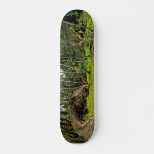 Fantasy T-Rex Tyrannosaurus Dragon battle  Skateboard
