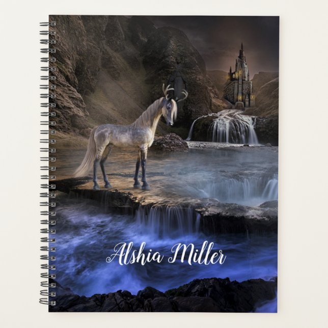 Fantasy Waterfall and Castle Planner (Front)