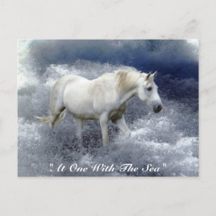Fantasy White Horse & Ocean Surf Gifts Postcard