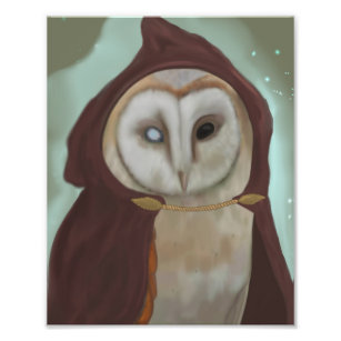 Fantasy Wizard Owl Photo Print