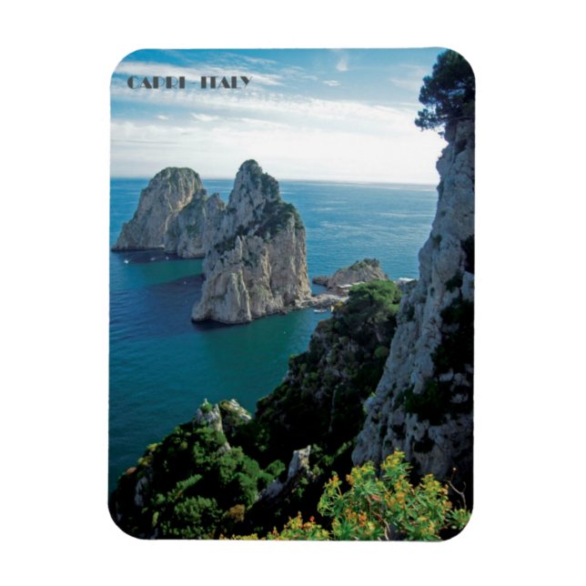 Faraglioni Rocks, Isle of Capri magnet (Vertical)