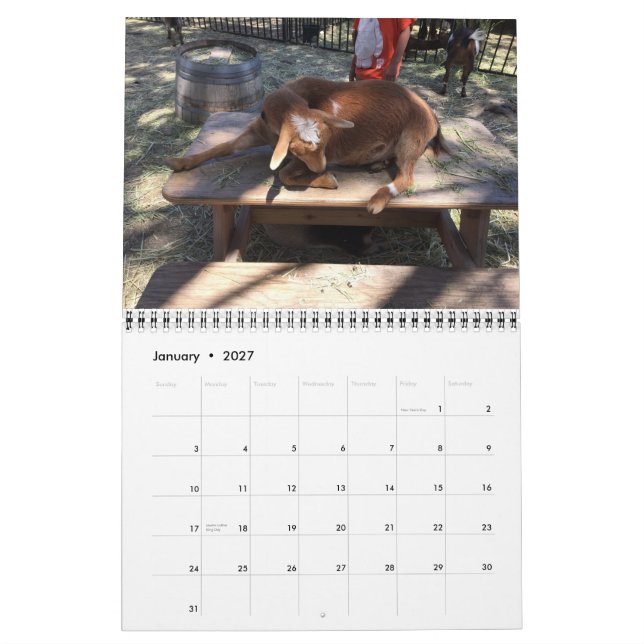 Farm Animal Calendar (Jan 2027)