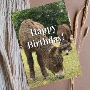 Farm Animal Donkey Cute Barnyard Funny Birthday  Card