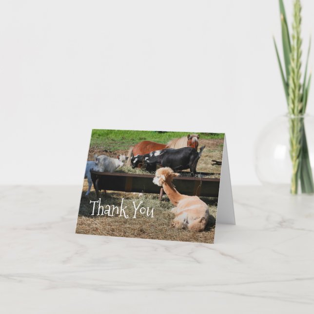 Farm Animal Friends Nature Thank You Card (Front)
