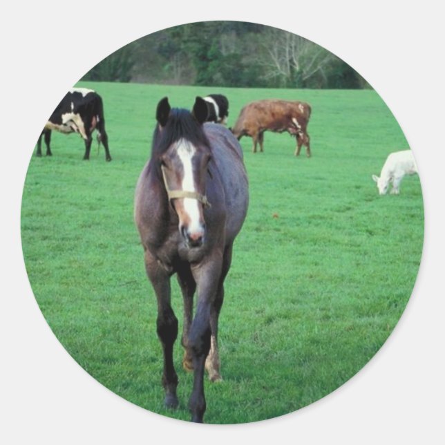 Farm Animal Pasture Classic Round Sticker (Front)