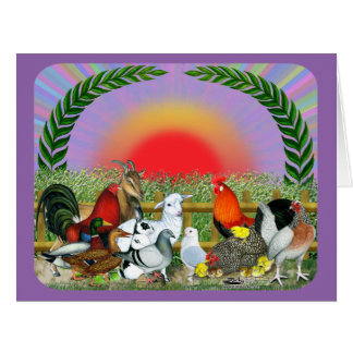 Farm Animals
