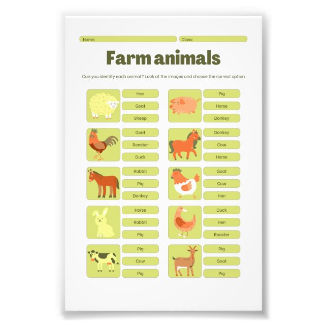 Farm Animals Identification Educational Worksheet Photo Print (Front)