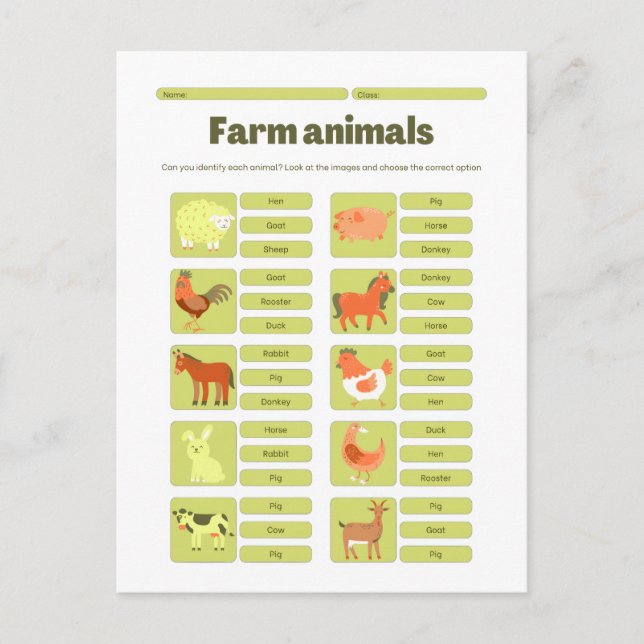 Farm Animals Identification Educational Worksheet Postcard (Front)