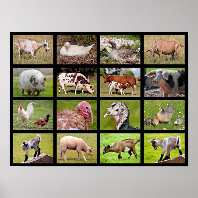Farm animals mosaic poster (Front)