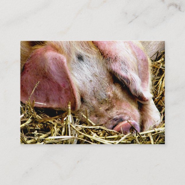 FARM ANIMALS, PIGS BUSINESS CARD (Front)