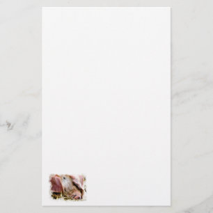 FARM ANIMALS, PIGS STATIONERY