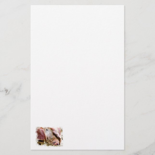 FARM ANIMALS, PIGS STATIONERY (Front)