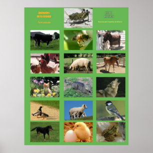 Farm Animals Poster .Animales de la granja