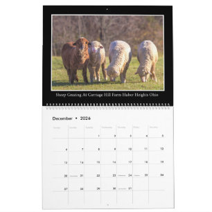 Farm & Barn Monthly Calendar By Thomas Minutolo
