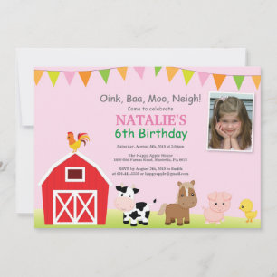 Farm Birthday Invitation Barnyard Party