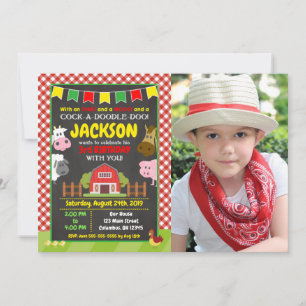 Farm Birthday Invitation / Barnyard Party