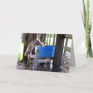 Farm Cat Greeting Card