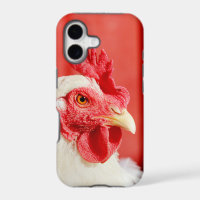 Farm Chicken