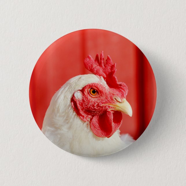 Farm Chicken  6 Cm Round Badge (Front)