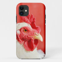 Farm Chicken 