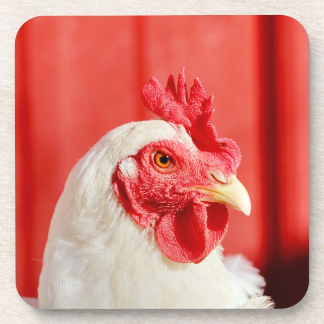 Farm Chicken  Coaster (Front)