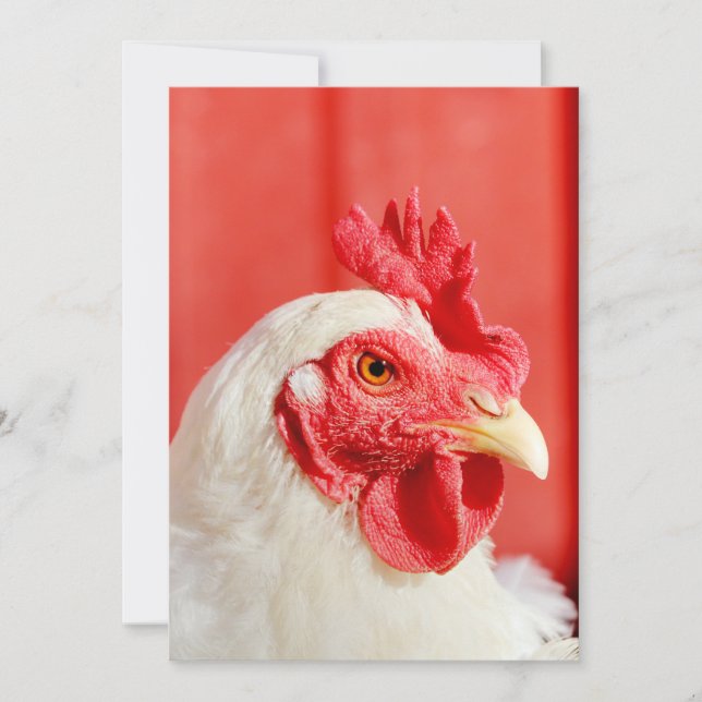 Farm Chicken  Invitation (Front)