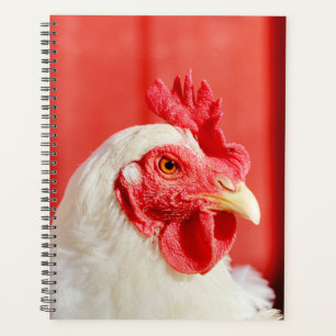 Farm Chicken Planner