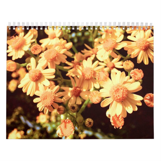 Farm Country Calendar (Cover)