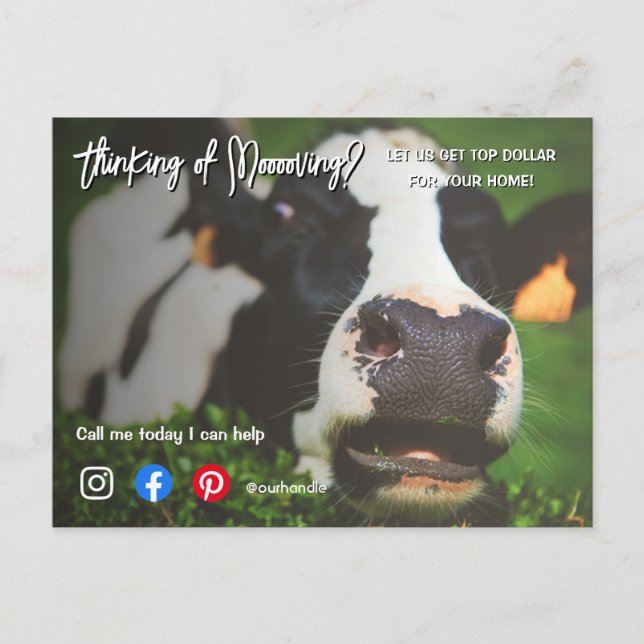 farm cow referral real estate marketing sell postc postcard (Front)
