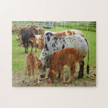 Farm cows